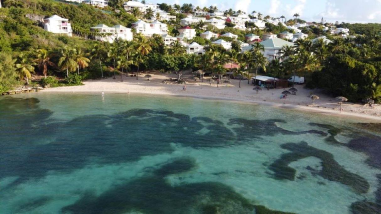 Studio Anse Des Rochers 4 Personnes Saint-Francois  Exteriör bild